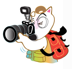 Dog Bull terrier take a photo