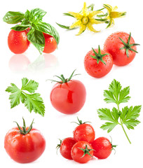 Collection of tomatoes isolated on white background