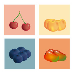 fruits
