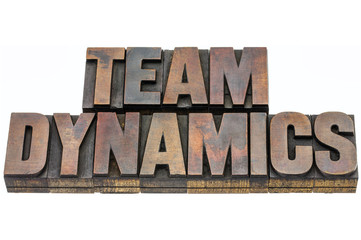 team dynamics in wood type