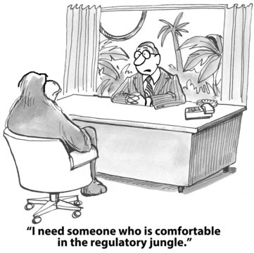 "I need someone who is comfortable in the regulatory jungle."