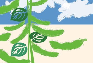枝豆と夏の青空のイラスト
