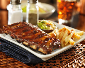 barbecue rib meal with cole slaw and french fries
