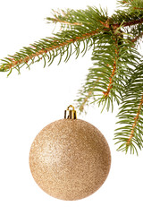 Christmas ball hanging from a branch of a fir tree