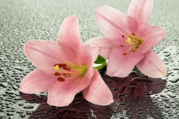 Crédence de cuisine en verre imprimé Nénuphars Różowe lilie