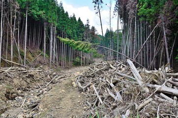 土砂崩れ