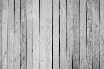 Wood Texture