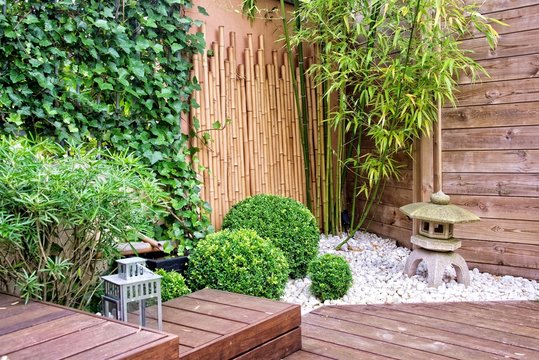 Japanese zen garden with bamboos and stone lantern