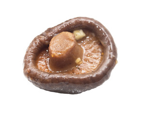 shiitake mushrooms on white background