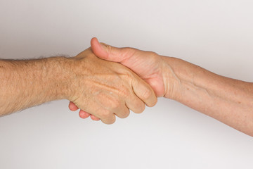 shake hands