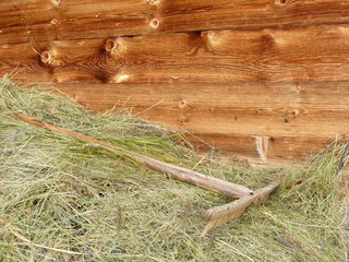 Holzrechen im Heu