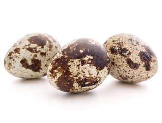 Quail egg isolated on white background cutout