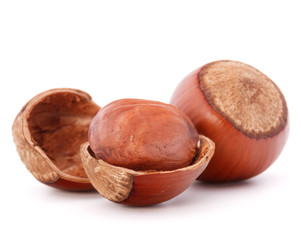 hazelnut or filbert nut isolated on white background cutout
