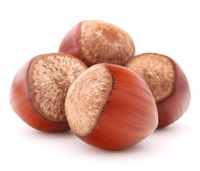 hazelnut or filbert nut isolated on white background cutout