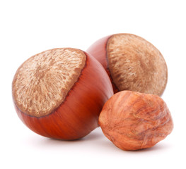 hazelnut or filbert nut isolated on white background cutout