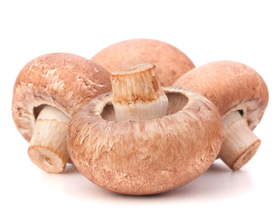 Brown champignon mushroom group