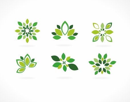 Stylized vector - green leaves