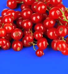 Redcurrants on blue background