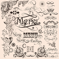 Collection of vector decorative calligraphic elements