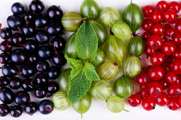 Forest berries on plate, isolated on white