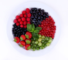 Forest berries on plate, isolated on white