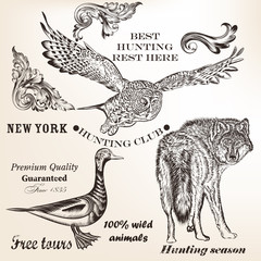 Set of vector animals for hunting design