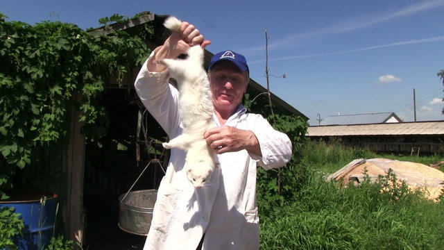 Adult man with white mink in the hand