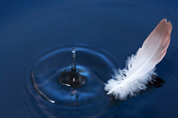 Feather On Water