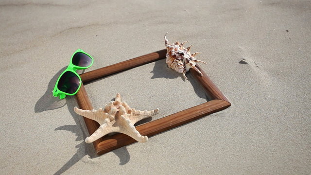 Frame with shell starfish sunglasses. HD with motorized slider. 