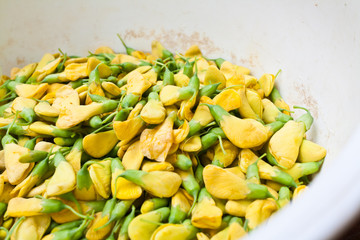 The Sesbania Flower for Cooking