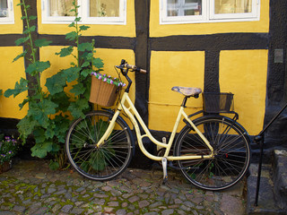 Vintage Classical k Bicycle