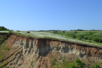 Цветет ковыль