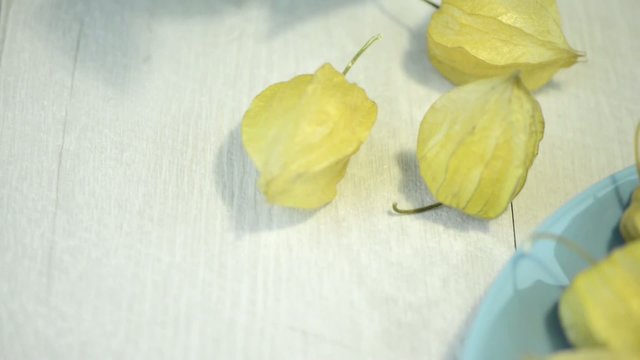Physalis fruits