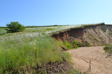 Утро в степи