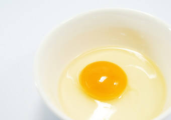 egg 