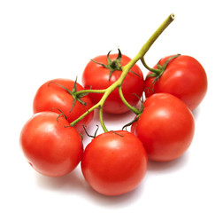 Tomatoes
