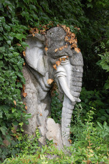 Elefant