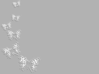 Butterflies concept