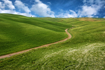 Fototapeta na wymiar Beautiful landscape in Tuscany