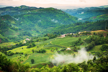 Natural landscape of tea planation on the moutain in Chaingrai p