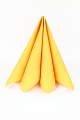 Folded napkin on the white plate