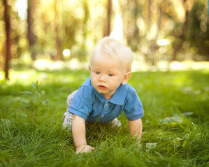 funny little boy crawling on the grass in the park