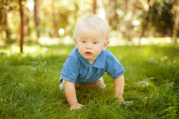 funny little boy crawling on the grass in the park