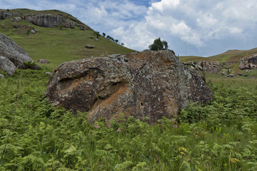 Giants Castle KwaZulu-Natal nature reserve, Drakensberg