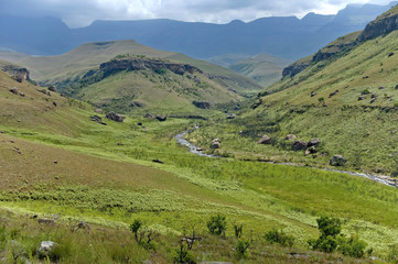 Giants Castle KwaZulu-Natal nature reserve, Drakensberg