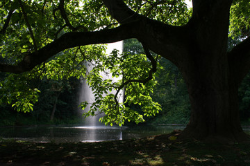 naturlandschaft