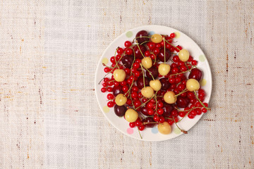 Mixed  berries in bowl