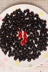 Black and red currants in a bowl