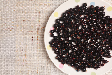 Black currants in a bowl
