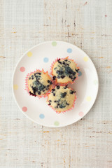 Homemade blueberry muffins in paper cupcake holder